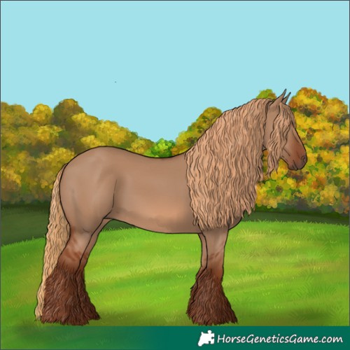 Horse Color:Red Dun