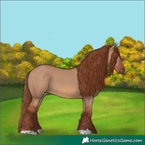 Horse Color:Red Dun 