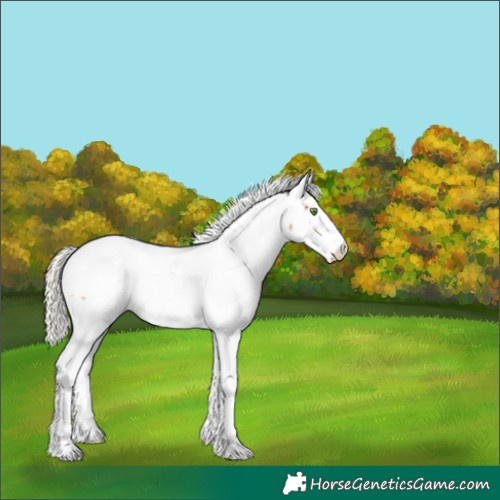 Horse Color:Watercolor White Spotted Silver Sable Cream Champagne Fewspot 
