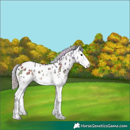 Horse Color:Nacre White Spotted Silver Buckskin Ice Leopard 