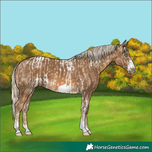 Horse Color:Chocolate Palomino Pearl Tobiano Frame  and Chocolate Palomino Tobiano Frame 