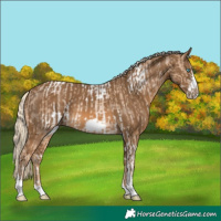 Horse Color:Chocolate Palomino Pearl Tobiano Frame  and Chocolate Palomino Tobiano Frame 