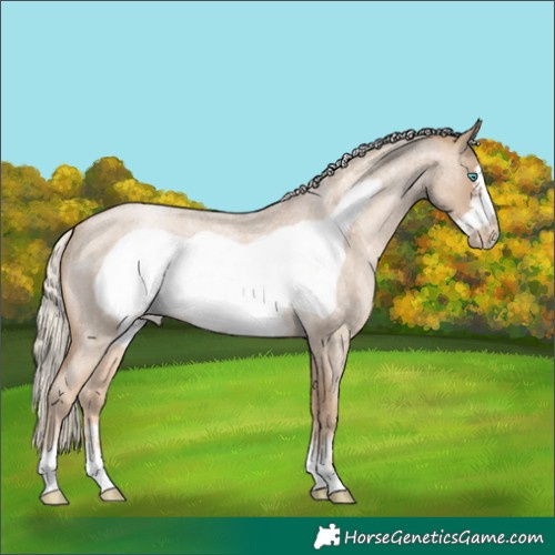 Horse Color:Chocolate Palomino Roan Pearl Frame 