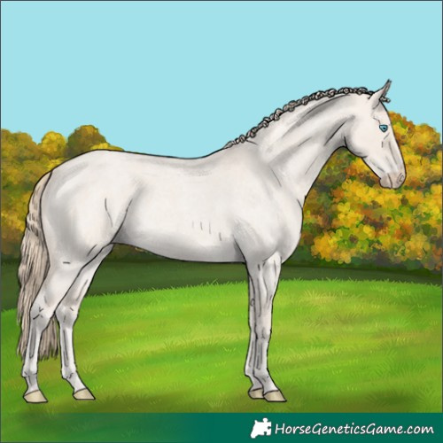 Horse Color:Smoky Creme Roan Dun 