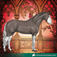 Horse Color:Silver Black Splash