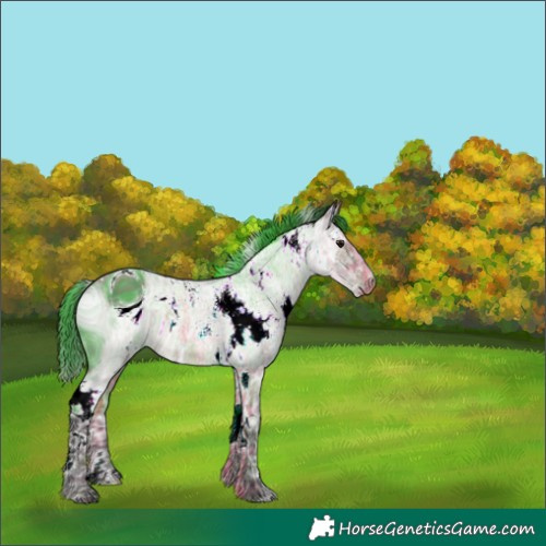 Horse Color:ERROR: UNKNOWN ANOMALY