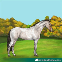 Horse Color:Liver Red Dun Roan  and Liver Red Dun Roan Tobiano 