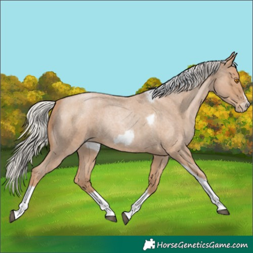 Horse Color:Silver Blue Roan Pearl Tobiano Frame 