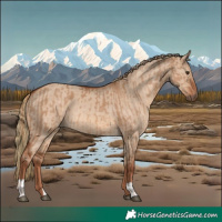 Horse Color:Red Dun and Red Dun
