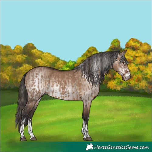 Horse Color:Liver Red Dun  and Gray Liver Red Dun 