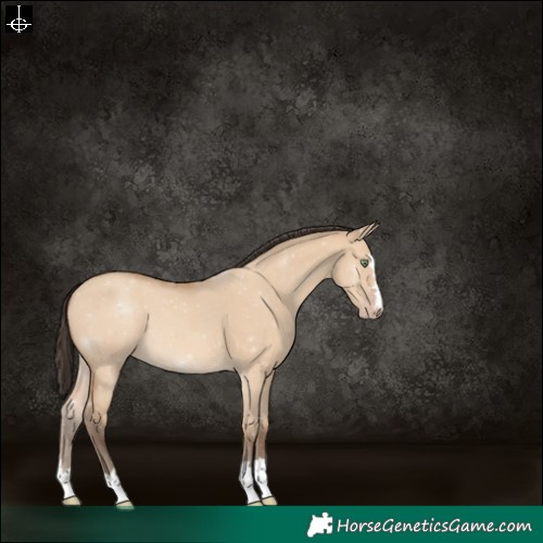 Horse Color:Amber Champagne Dun 