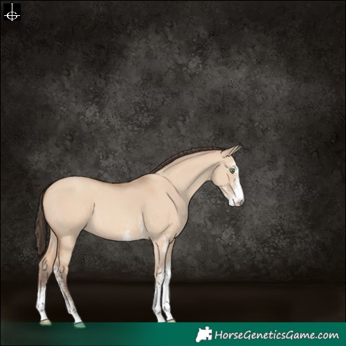 Horse Color:White Spotted Amber Champagne Dun 