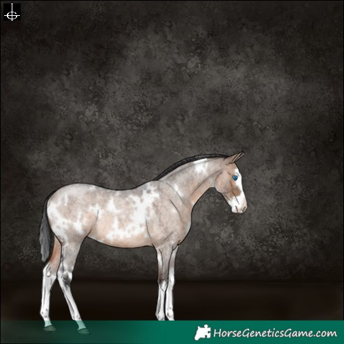 Horse Color:White Spotted Brown Roan Dun Splash Rabicano 