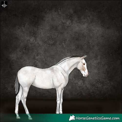 Horse Color:White Spotted Brown Roan Dun Splash Rabicano 