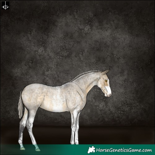 Horse Color:White Spotted Silver Buckskin Roan Dun 
