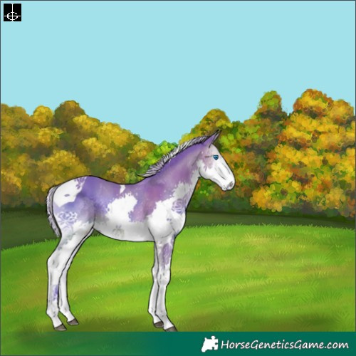 Horse Color:Gray Watercolor Silver Buckskin Onyx Splash Tobiano 