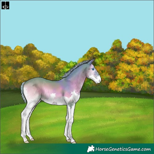 Horse Color:Gray Watercolor Red Onyx Splash 