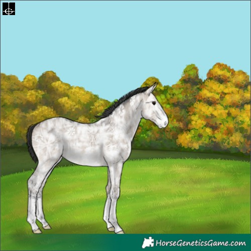 Horse Color:Brown Ice Dun Sabino 