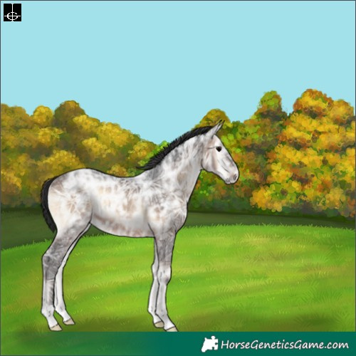 Horse Color:Brown Ice Onyx 