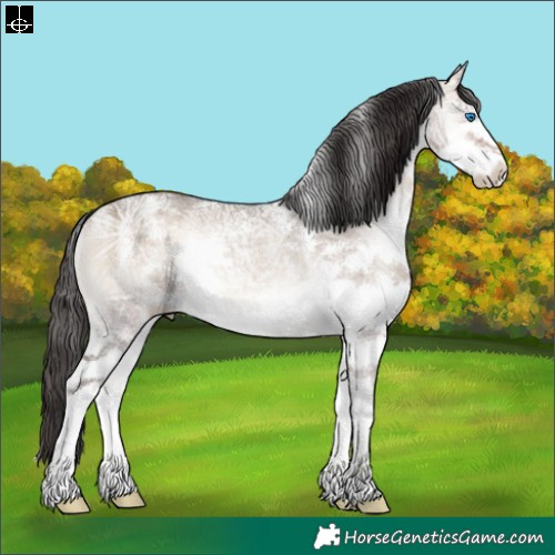 Horse Color:Powder White Bay Ice Onyx Splash Rabicano 
