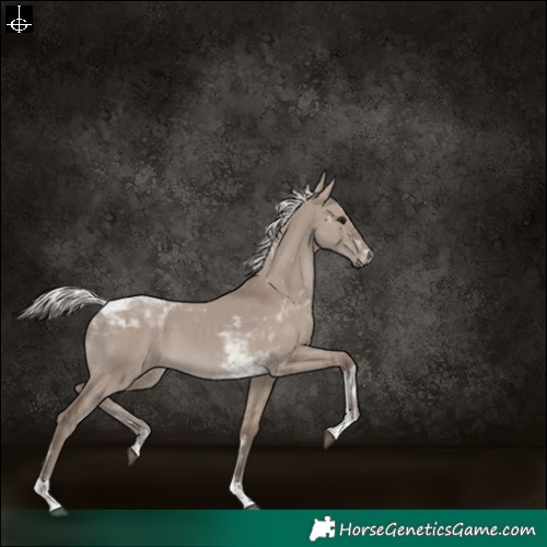 Horse Color:Silver Grullo Tobiano Rabicano 