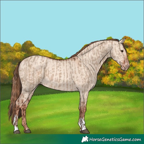 Horse Color:Liver Red Dun  and Gold Champagne Dun 