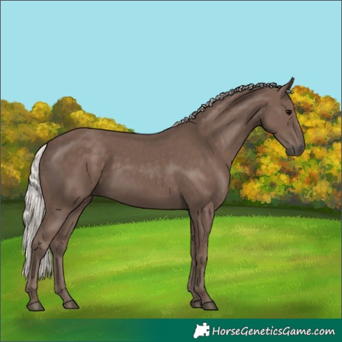 Horse Color:Silver Black 