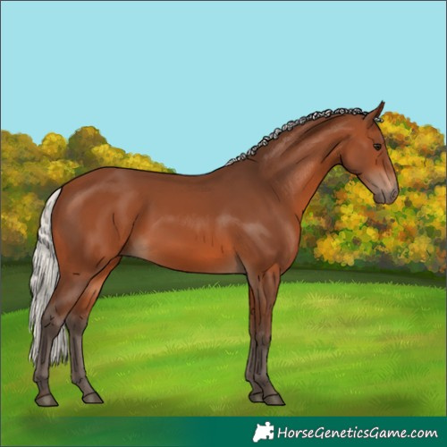Horse Color:Silver Brown