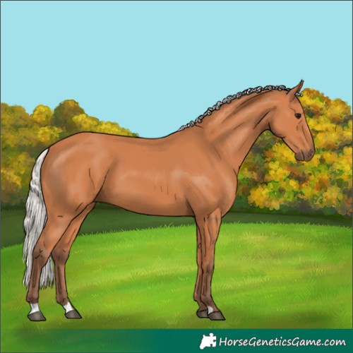 Horse Color:Silver Bay