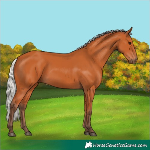Horse Color:Silver Bay