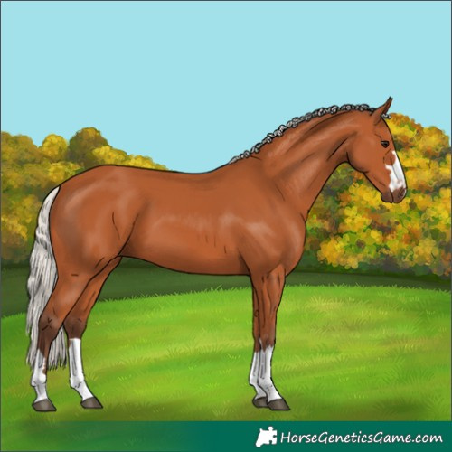 Horse Color:Silver Bay