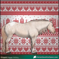 Horse Color:Red Dun Appaloosa  and Red Dun Appaloosa 
