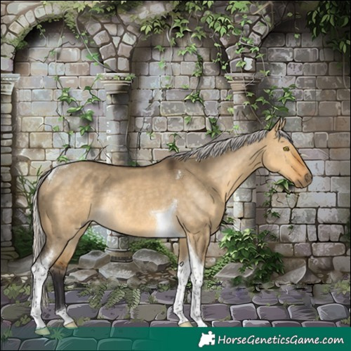 Horse Color:Silver Buckskin Dun Tobiano Rabicano