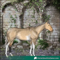 Horse Color:Silver Buckskin Dun Tobiano Rabicano