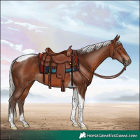 Horse Color:Silver Brown Tobiano Rabicano 