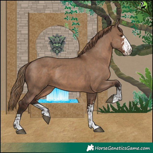 Horse Color:Liver Red Dun and Liver Red Dun