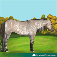 Horse Color:White Spotted Silver Blue Onyx Chinchilla Tobiano  and Liver Red Dun 