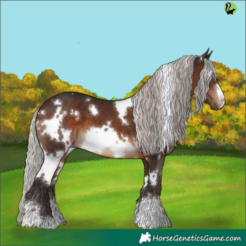 Horse Color:White Spotted Silver Brown 