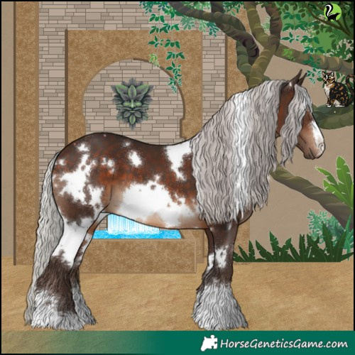 Horse Color:White Spotted Silver Brown 
