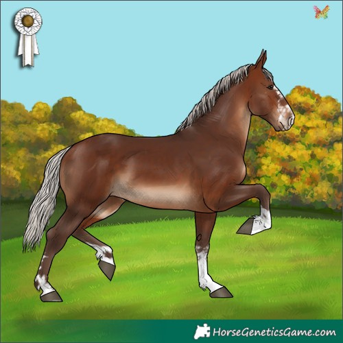 Horse Color:Silver Brown 