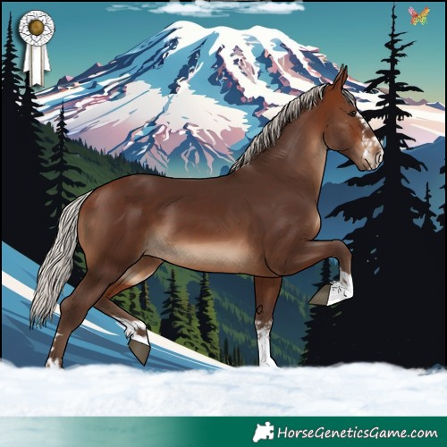 Horse Color:Silver Brown 