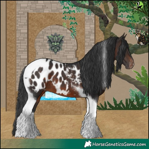 Horse Color:Brown Tobiano Blanket 