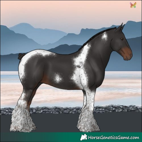 Horse Color:Liver Chestnut Tobiano 