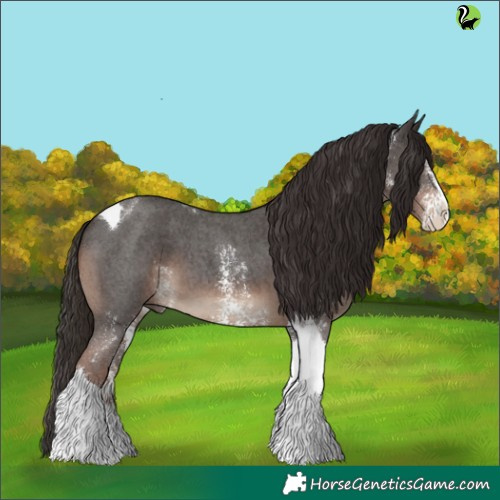 Horse Color:Liver Chestnut Sabino Tobiano 