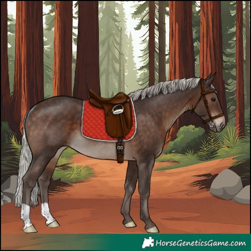 Horse Color:Silver Brown Rabicano 