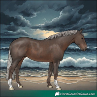 Horse Color:Silver Black 