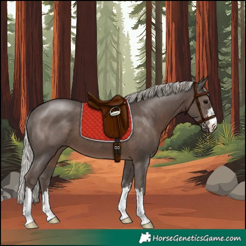 Horse Color:Silver Black 
