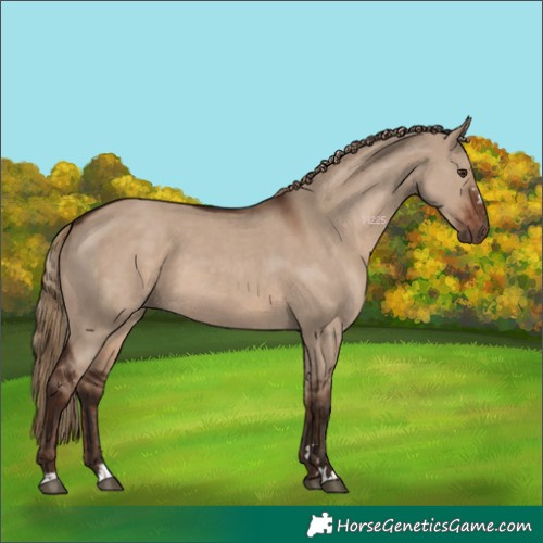 Horse Color:Liver Red Dun and Liver Red Dun