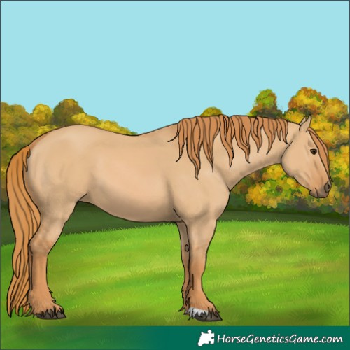 Horse Color:Red Dun 