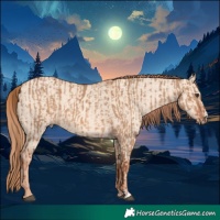 Horse Color:Red Dun and Gold Champagne Dun
